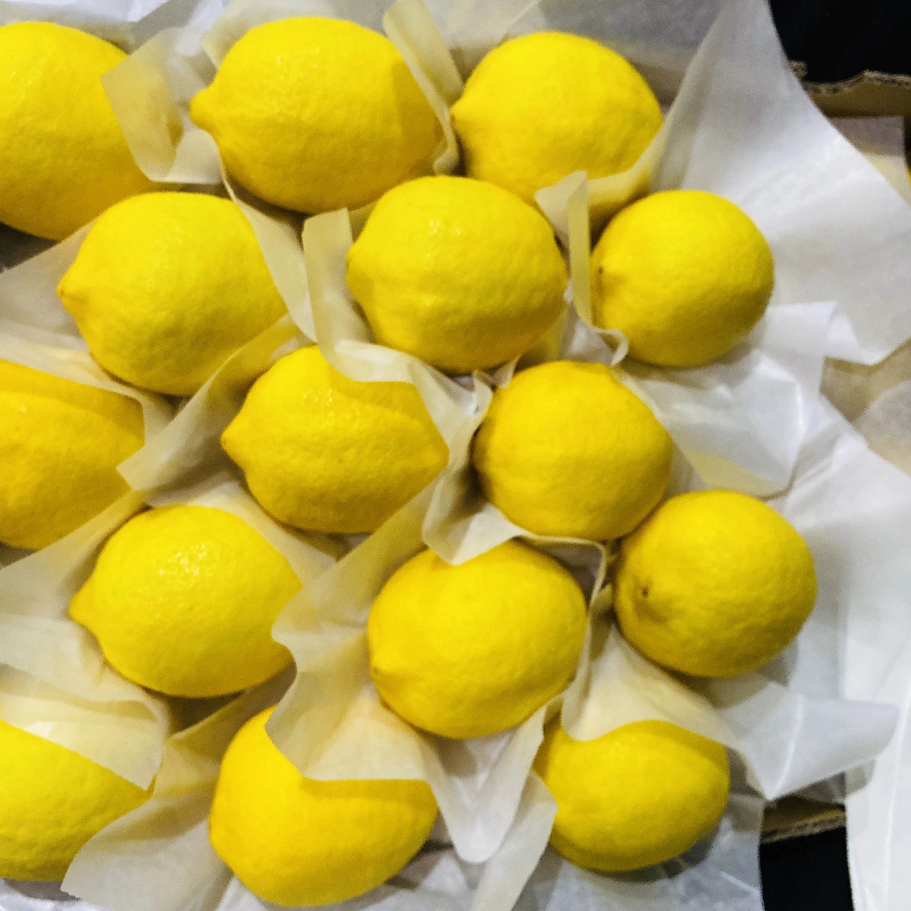 Fresh Eureka lemon from CHINA