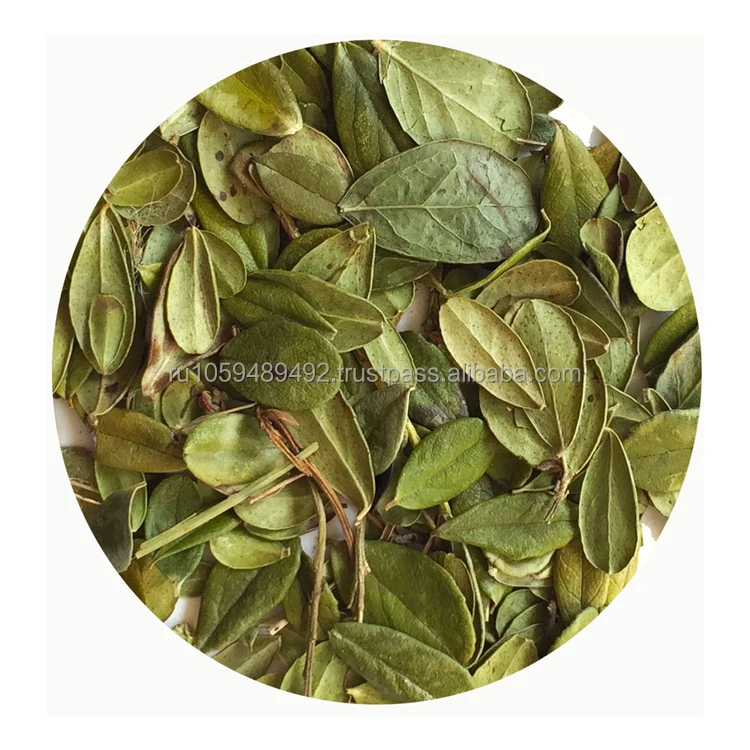 Whole dried lingonberry leaves tea natural product of Siberia great quality wholesale prices dried lingonberry leaf