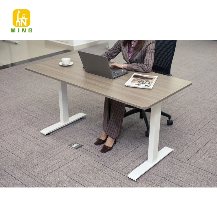 Electric Height Adjustable Single Motor Standing Dual Motor Computer Table Frame Home Office Modern desk Home Office Furniture