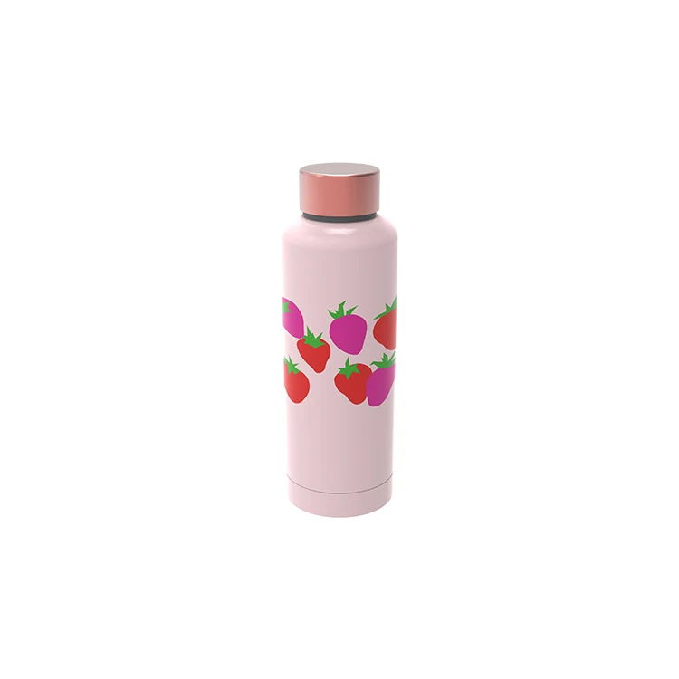 2022 Christmas New Best Selling Personalized 500ml Stainless Steel Double Wall Water Bottle