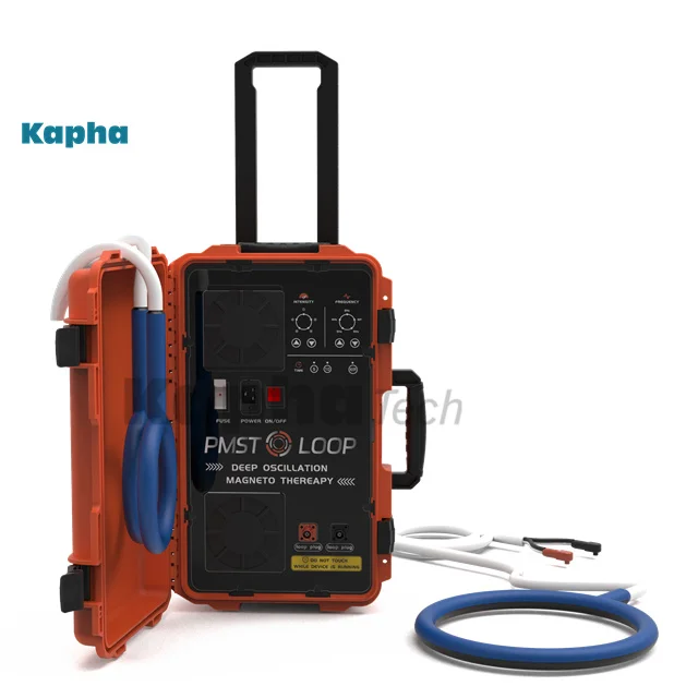 Kapha Newest Home Users Pemf Magnetic Therapy Device PMST LOOP Physical Therapy Machine