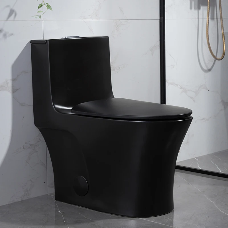 black toilet -0382Z (17)