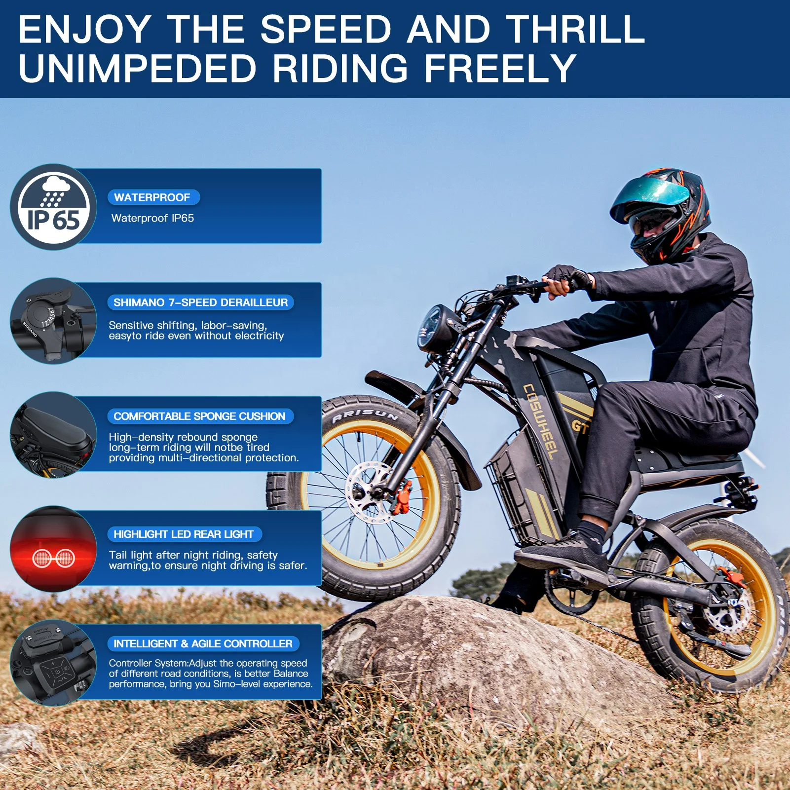 COSWHEEL GT20 48V 1500W Ebike Customize 60V 36V 250W Electr Mountain Bike EU US UK Stock High Quality China Manufacturer Fatbike