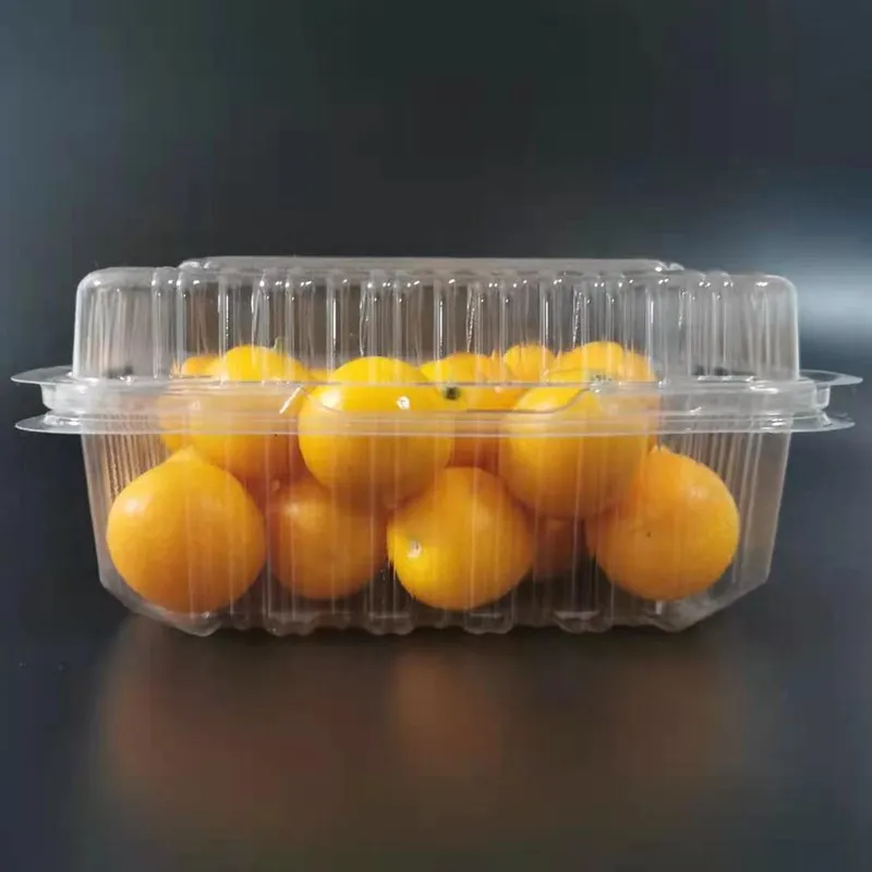  Одноразовые пластиковые коробки для торта черники