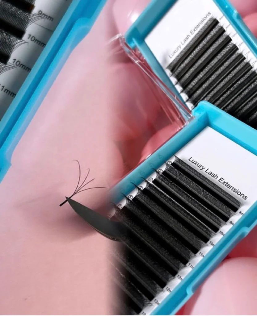 YY Private Label Individual W Shape Eyelashes 0.07 W Clover Thick Volume Lash Extensions Soft Natural Korean PBT Materials 3D CC