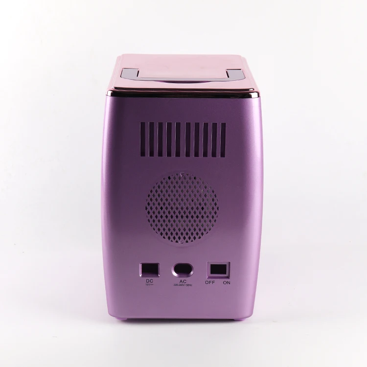 Wholesale Portable 4 Liter 12v Mini Cooler And Warmer Personal Office Refrigerator Mini Cosmetics Fridge For Skin Care Bedroom