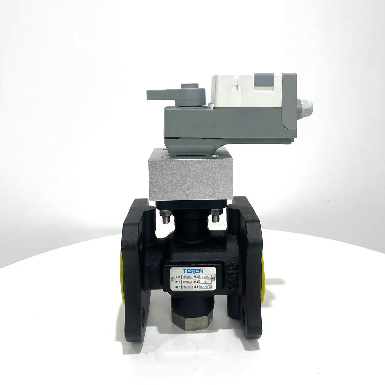 Two-way Control Ball Valve Flange With 10Nm Damper Actuator