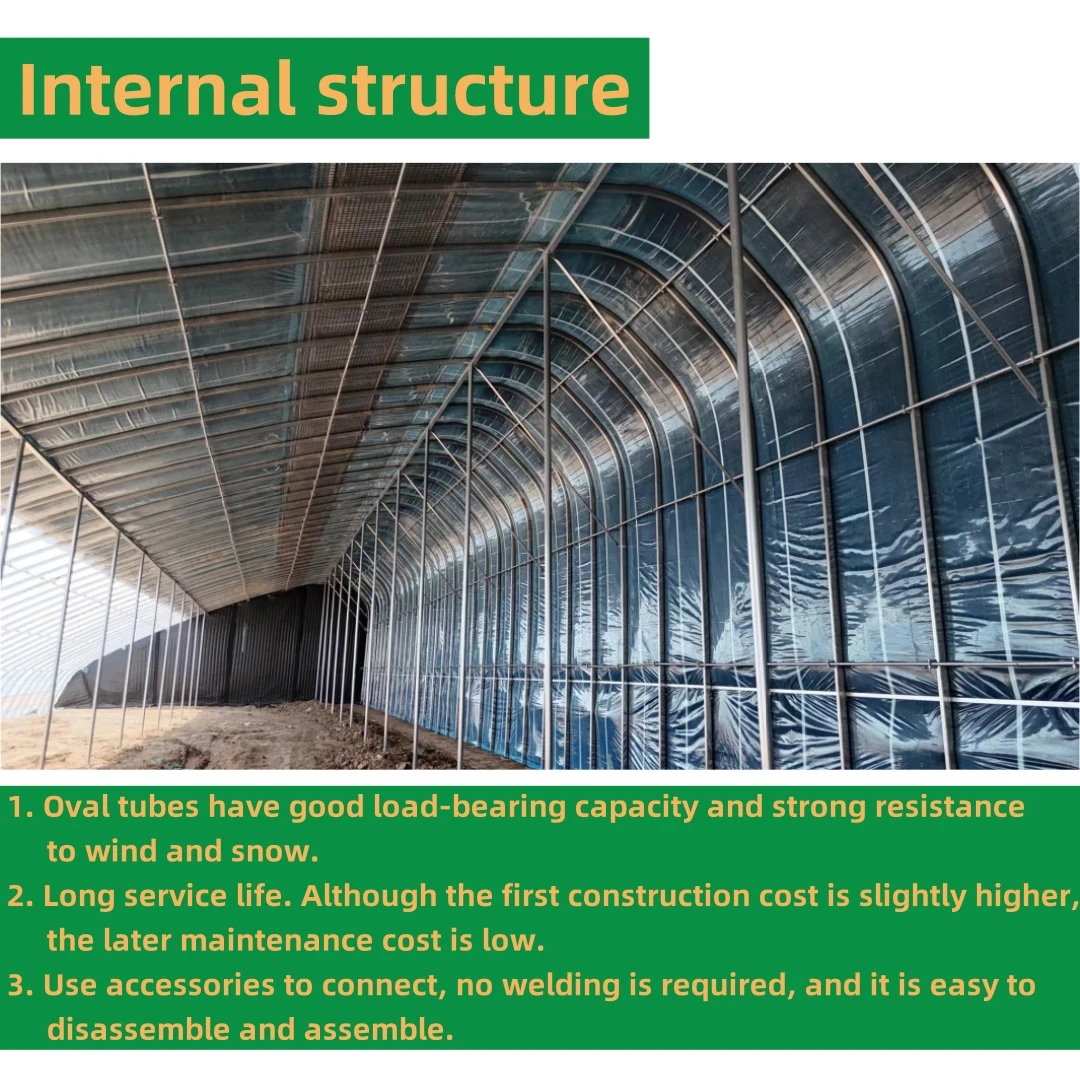 Full Steel Oval Pipe Greenhouse for Flowers Tomato Greenhouse Kit Agricultural Greenhouse Solar Green House