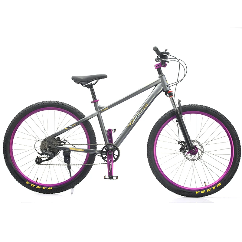 2025 NEW NT China factory cheap and good quality mountain Bicycle 20/22 /24/26 inch 9 speed adult bike student Bicycle.