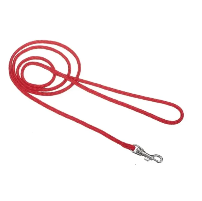 Pet Supplies Leashes Excellent Quality Nylon Round And Flat Knitting Show Lead Trendy Pet Leash