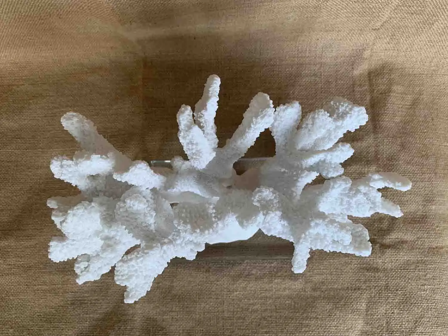 Cream resin Coral Decoration/Wedding Center Beach Coral resin sculpture can be customized