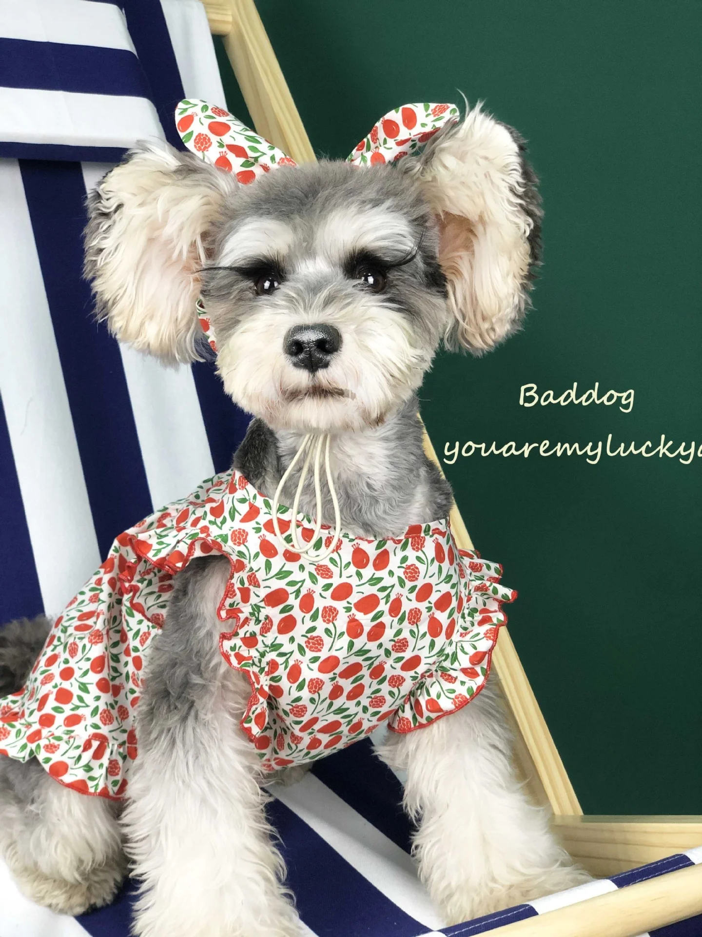 Spring/Summer Fashion Design New Floral Cute Headed Rope Pet Dog Skirt Suit