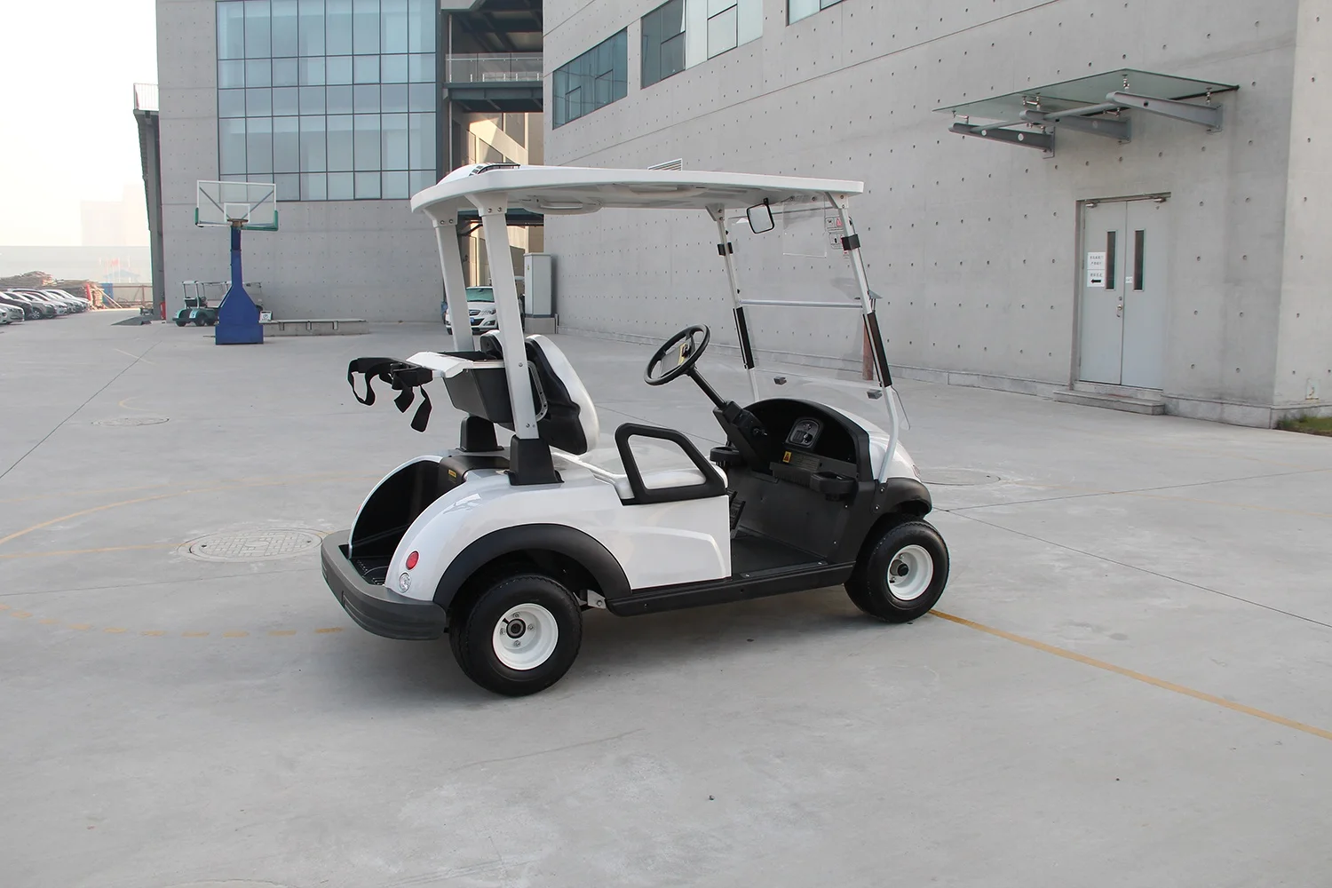 Hot Sell Graceful Design 2 Seater Golf Buggy Electric Cart Car for Algeria Mexico
