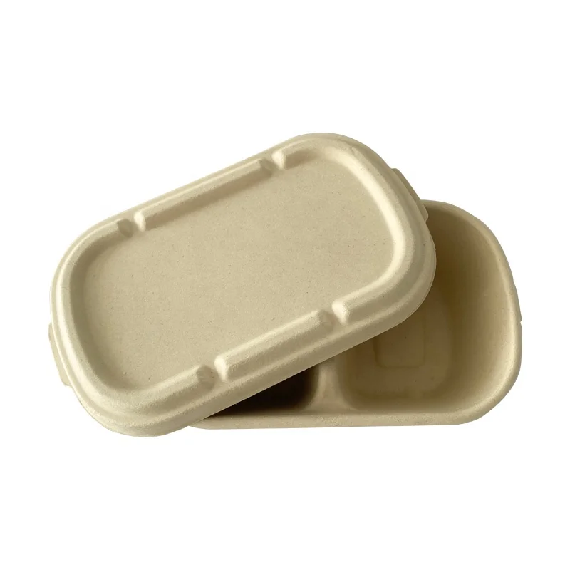 Compostable Togo Food Delivery Sugarcane Bagasse Pulp Lunch Box with Divider and Lid Sugarcane Food Box for Take Away Restaurant