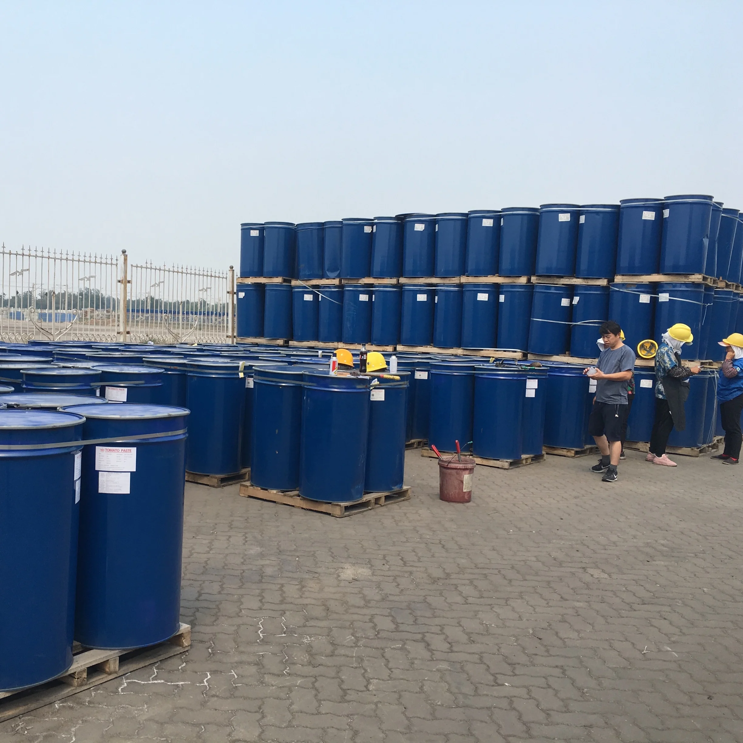 70g 2200g Tomato Paste Sauce and and  Canned Tomato Paste with Lower Price