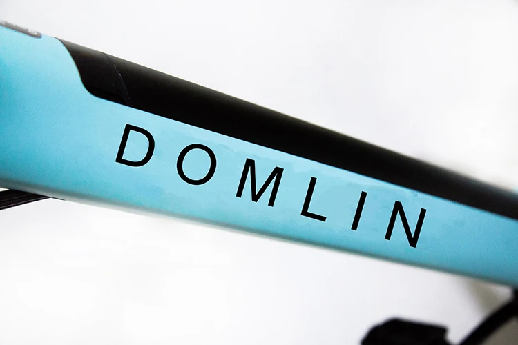 2024 New 250W Shimano 7 Speed Women Electric Bike Aluminum Alloy Electric City Bike E Bike 350W