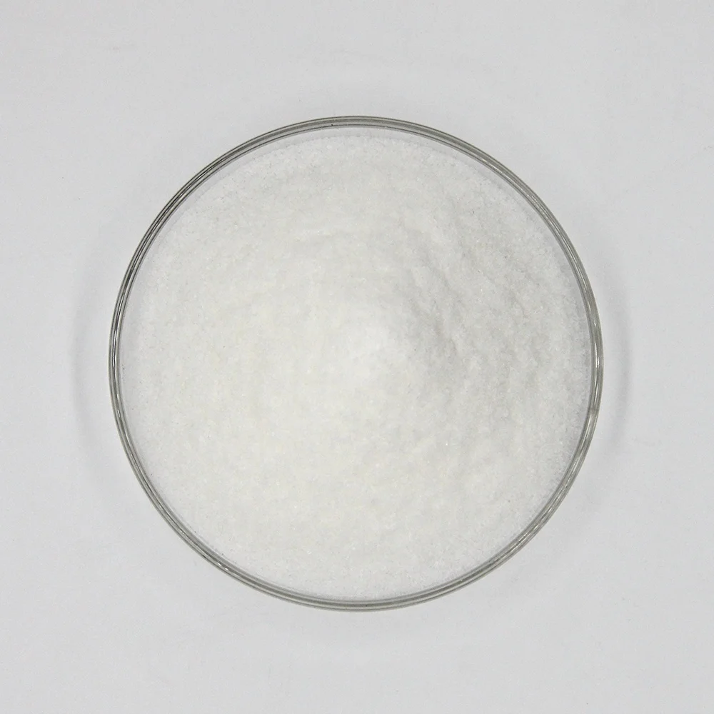 Polyacrylamide Manufacturer Municipal Wastewater Treatment  Anionic Polymer Flocculant PAM