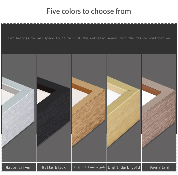 Fashionable Silver Gold Black Photo Frame Custom Size A0 A1 A2 A3 A4 A5 A6 Aluminum Picture Frames for Canvas