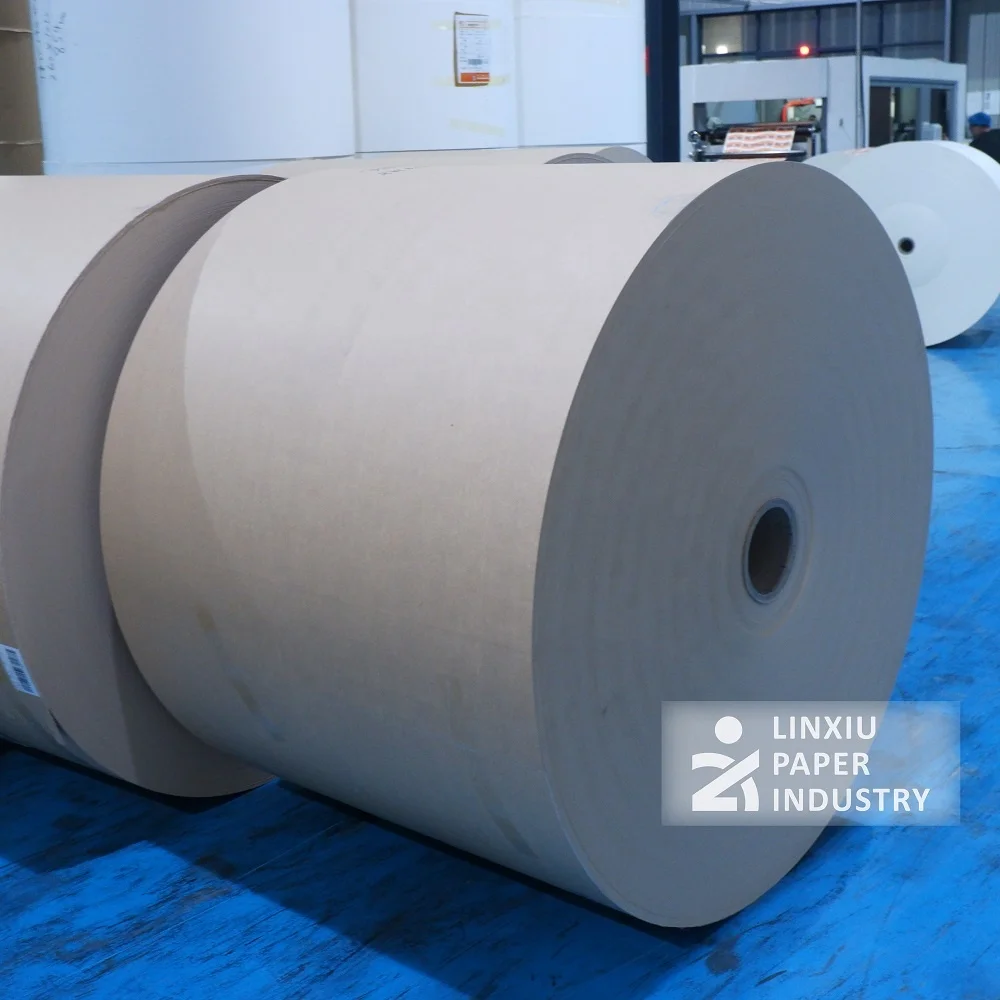 High strength 280 gsm double PE coated paper roll for sturdy paper cups and lunch boxes