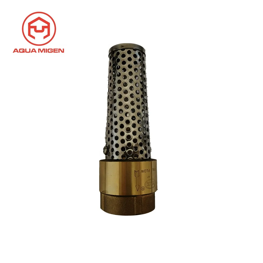 200 PSI 3/4 in FIP BSP/NPT Thread Brass Foot Valve for Jet Well Pumps
