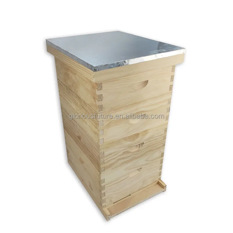 Beekeeping Factory High Quality 4 levels Pine Wooden Beehive 10 Frames Beehive Bee Box For Sale