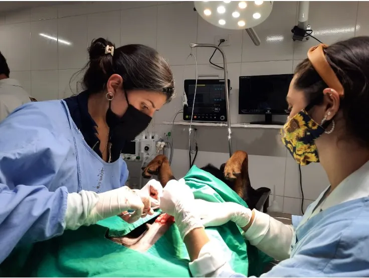 JM-603S portable hospital 12 inch monitor pathology monitor for vet use