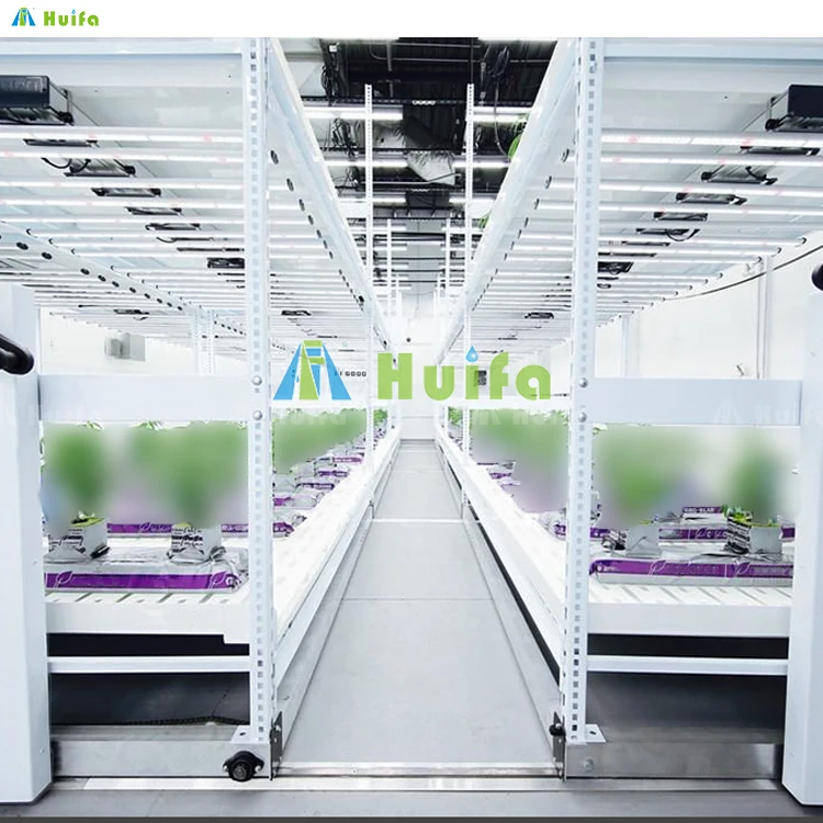 2 Tier Rolling Rack For Cultivation Mobile Horticulture Steel Grow Rack Vertical Indoor Farming For Vegetable