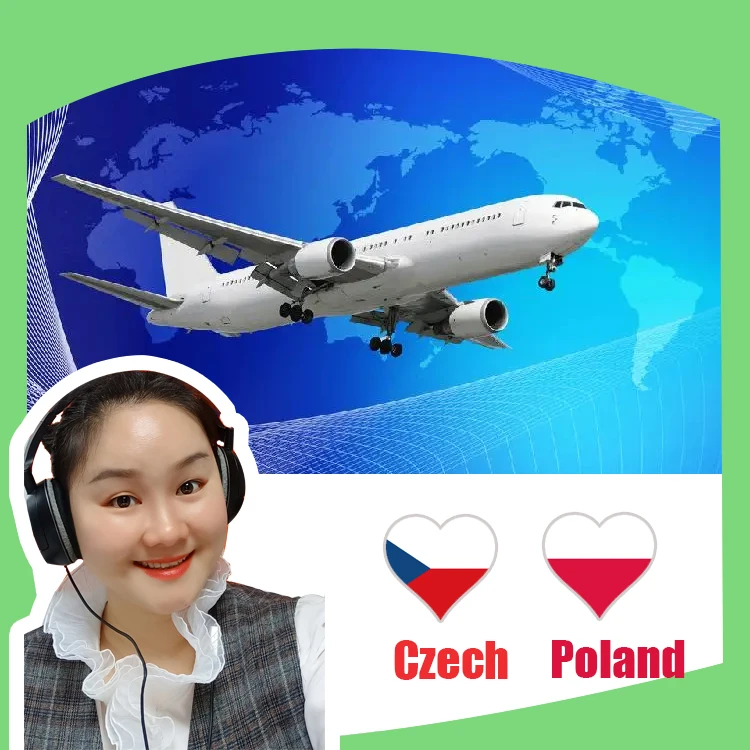Cheapest sea or Air Freight Company Amazon FBA and UPS Delivery Freight Forwarder from China To Poland and Czech DDP Delivery