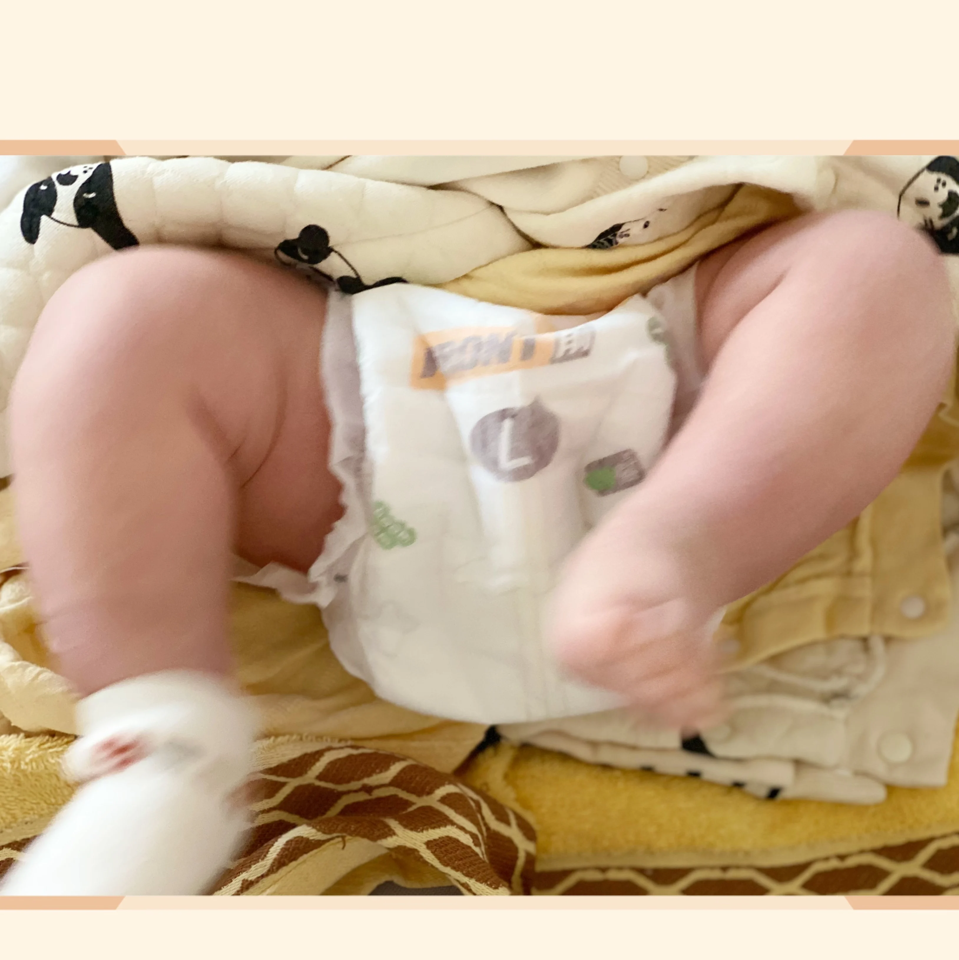 Midday bear Be-fun series baby diaper manufacturing plant daipers baby diapers nappies