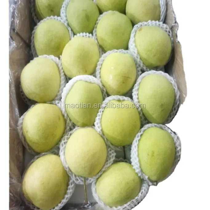 
Fresh Shandong Pears 