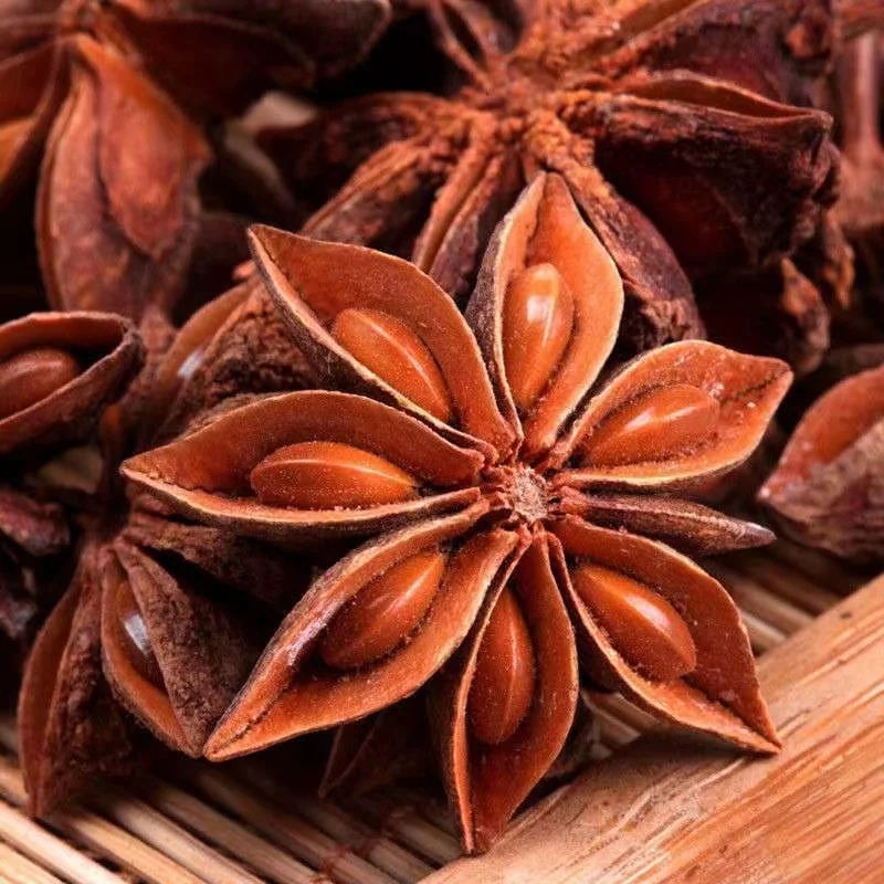New Cheap Price Bulk Vietnam Dried Broken Star Aniseed Star Anise
