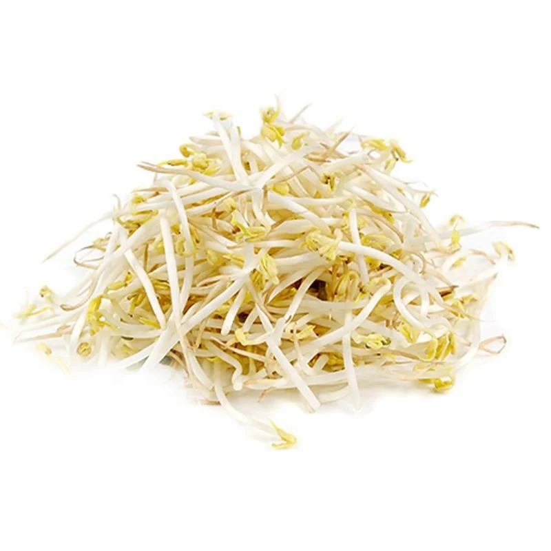 
Professional Manufactory Supply Dry Green Mung Beans Moong Dal 