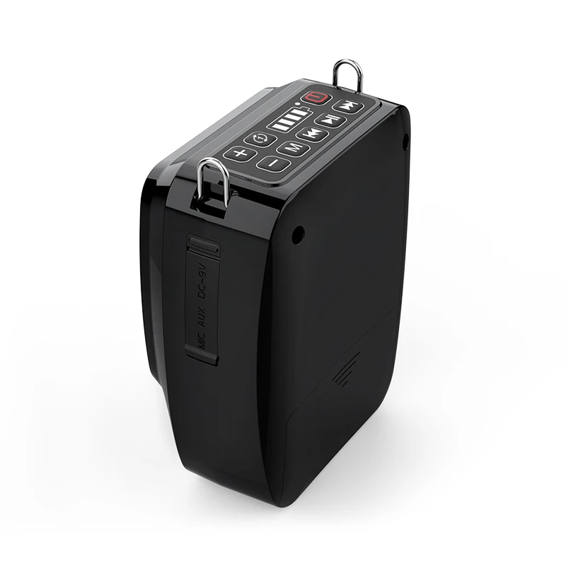 OEM 25 Вт большой мощности эхо Bluetooth портативный PA динамик гарнитура микрофон Запись перезаряжаемый голосовой