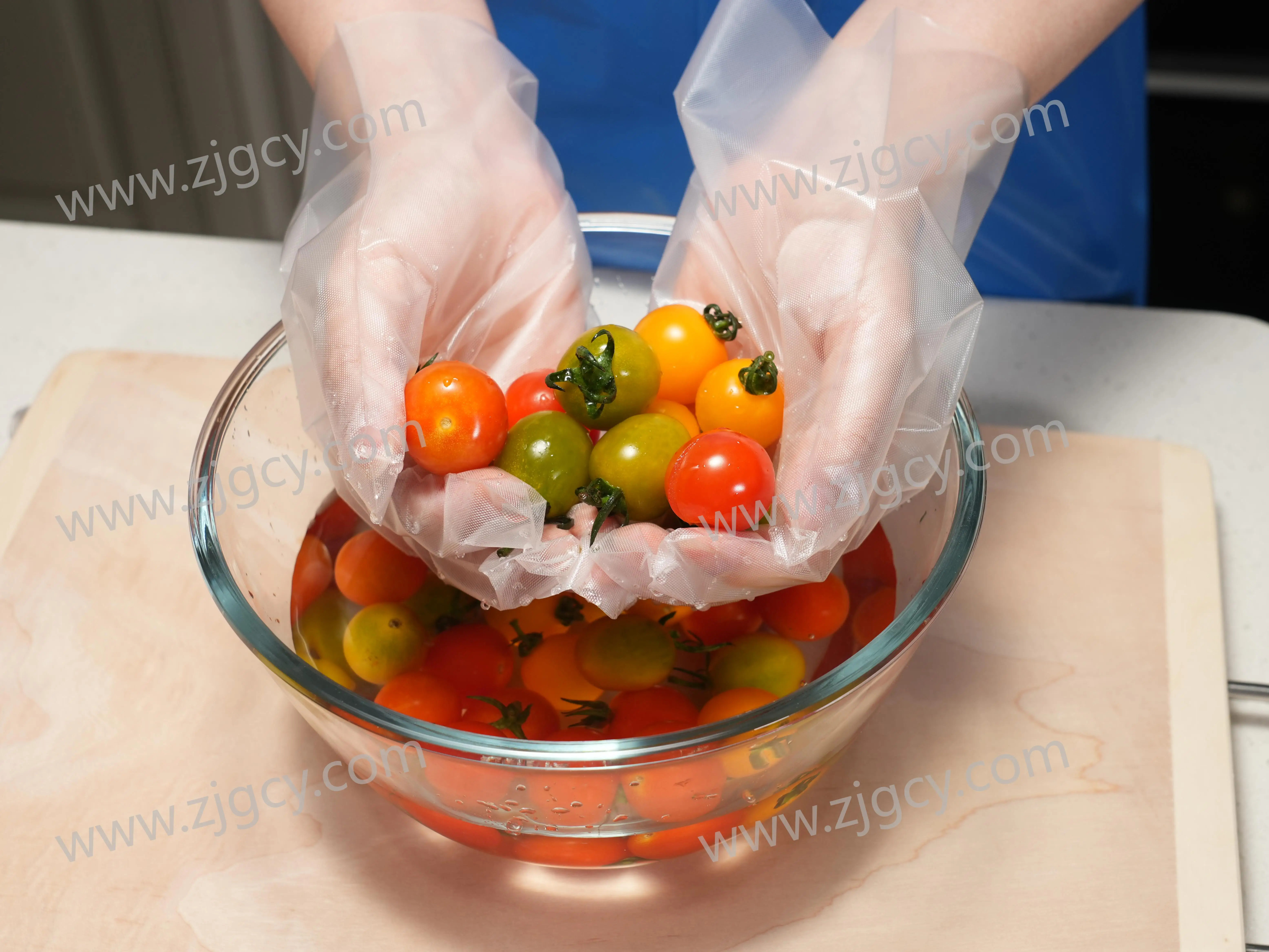 New Hot Items Cpe Material Plastic Glove Kitchen Food Cooking Gloves Disposable