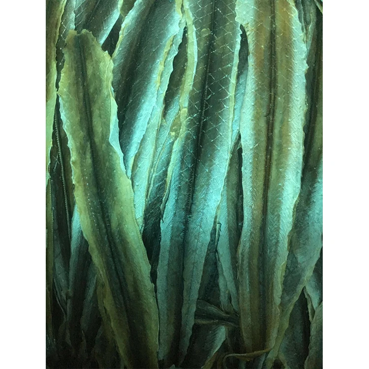 Factory supply Healthy Sea Food Delicious nutritious Eel Frozen Eel