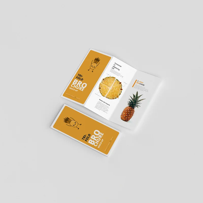 User Guides Manuals Matte Finished Instruction Folded Manual paper card book advertising paper colourful printing