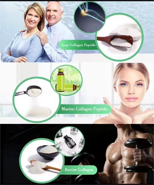 Popular hot sell multi collagen peptides powder Biotin collagen gummies Collagen Powder for Skincare Beauty