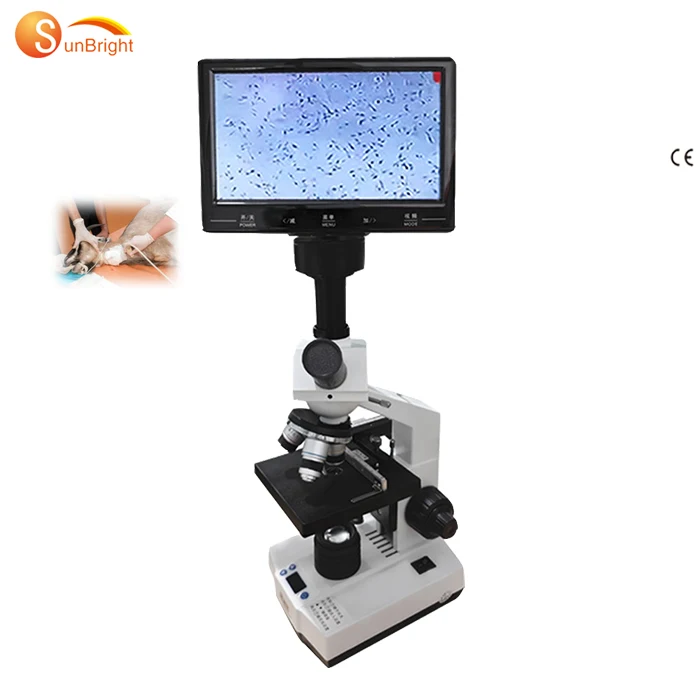 Digital Laboratory Biological Trinocular Thermostat Microscope for Veterinary use