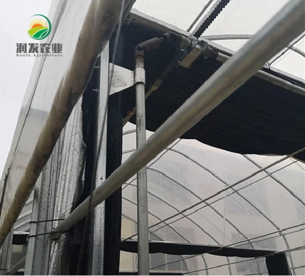Commercial Cheapest Hot Sale Automated Agriculture Poly Tunnel Light Deprivation Greenhouse