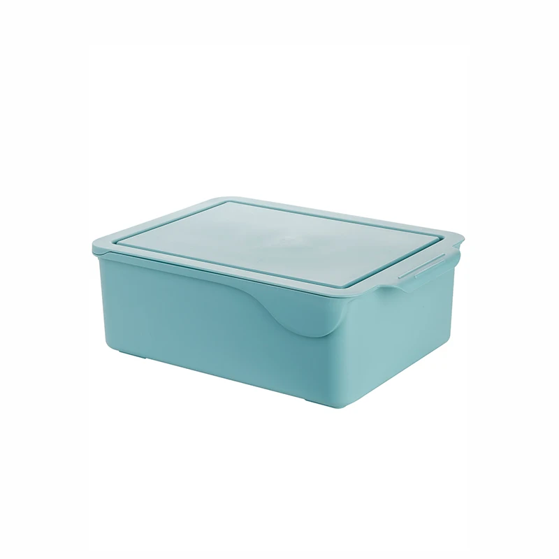 2021 Fiducia Amazon Hot Sale Plastic Wardrobe storage box with cover underwear Bra Socks compartment organization storage bin