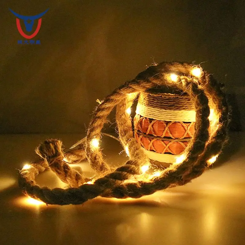 Factory Custom Cheap China Factory Price Led Out Door Light String