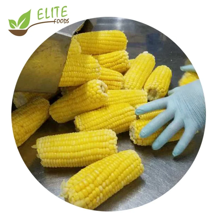 
2020 New Season Frozen IQF Sweet Corn Cob Cuts 