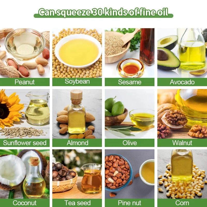 Hydraulic Cold Press Sun Flower Olive Ground Nut Oil Extruder Pressing Extractor Machine for Oil