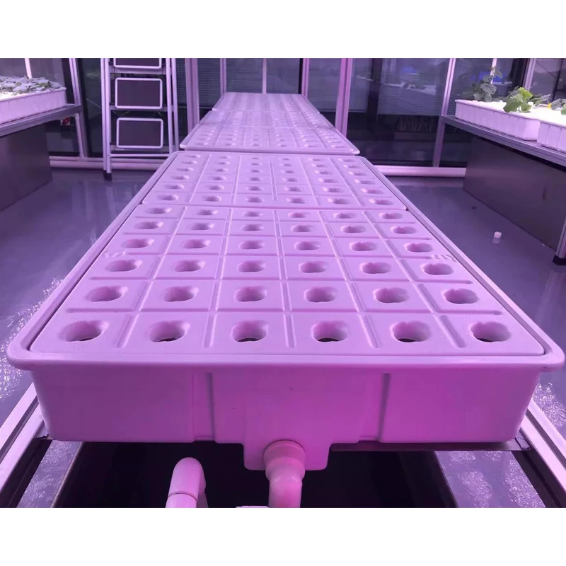 Custom Vacuum Forming White Flat Tray Plastic Blister Packaging Planting Seed Tray Growing Trays