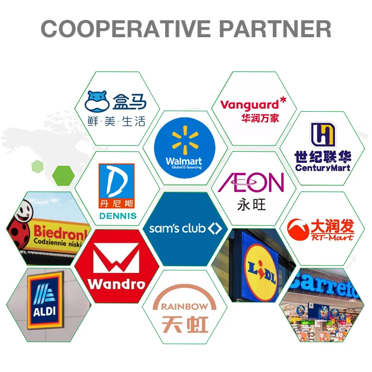 Chinese supermarket Spice Chinese star anise High Quality Whole Anise Seeds Dried Illicium Star Anise for cooking