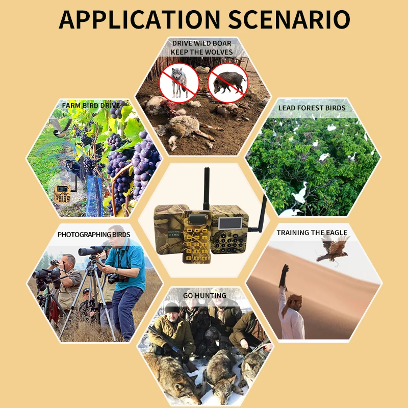 Hot Selling Factory Offer Outdoor Hunting Bird Caller MP3 with Remote Control 210 Songs Bird Voices Predator Sound Caller