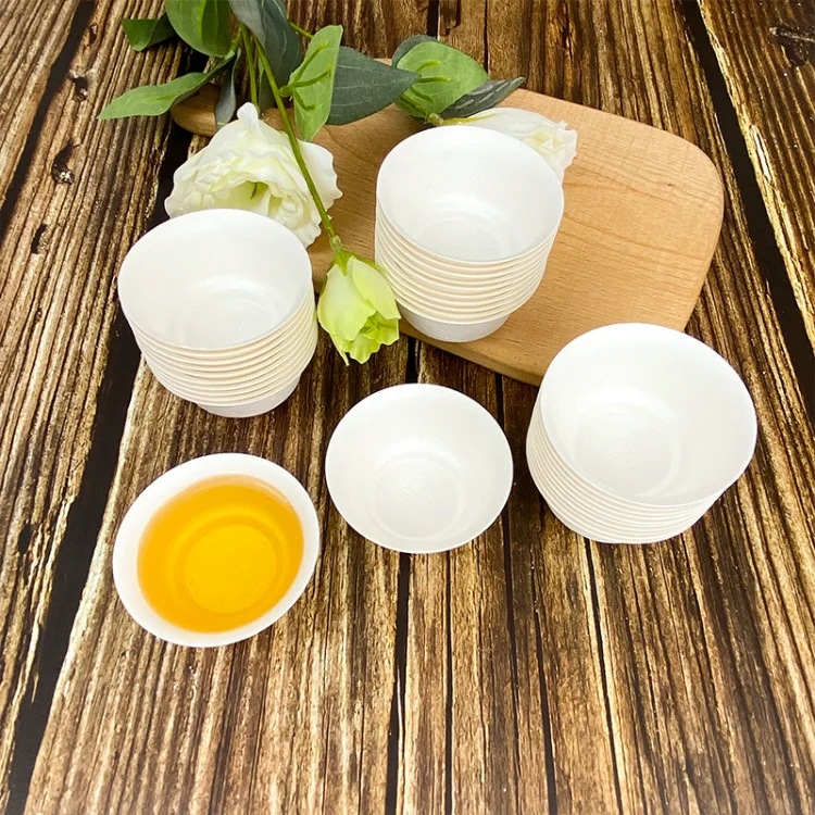Tea Box Disposable Tea Set Travel Bagasse Paper Biodegradable Compostable Sugarcane Tea Pot