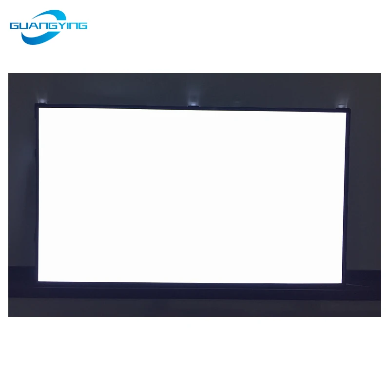 55-дюймовая световидная панель для SAMSUNG LGP BN61-13688A HG55AE890UJXXZ HG55AE890UJXZK HG55AE890UKXMN