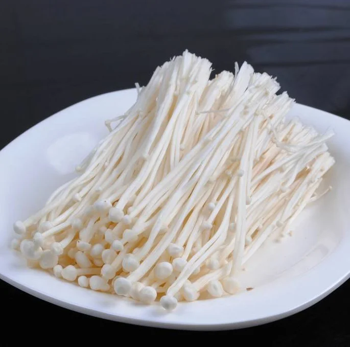 2019 China HOT Sale Healthy Delicious Enoki Mushroom for Restaurant