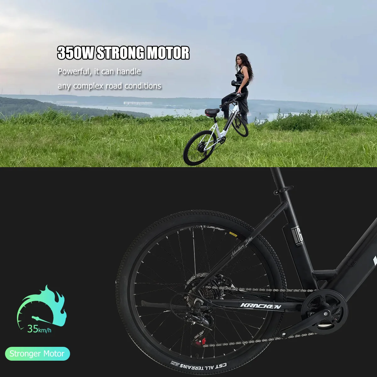 Factory Wholesale 48V Electric 26 Inch Durable Off-Road Adult Mountain Bikes Aluminum Alloy Frame Rear Carrier Hub Motor Shimano